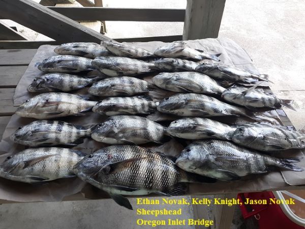 TW’s Bait & Tackle, Daily Fishing Report
