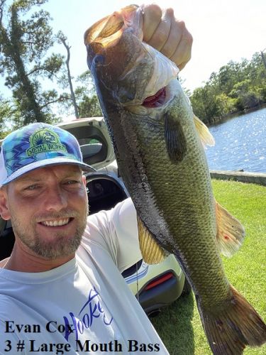 TW’s Bait & Tackle, TW's Daily Fishing Report