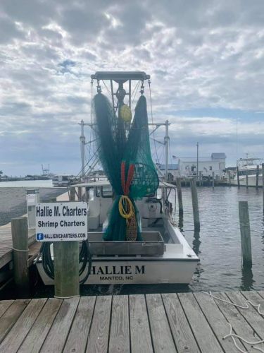 Hallie M Shrimping Charters, Shrimping Charters