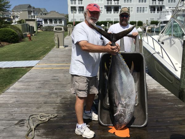 Carolina Girl Sportfishing Charters Outer Banks, Big Tuna !