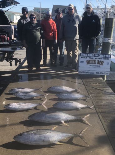 Bite Me Sportfishing Charters, Blackfins and Yellowfins!