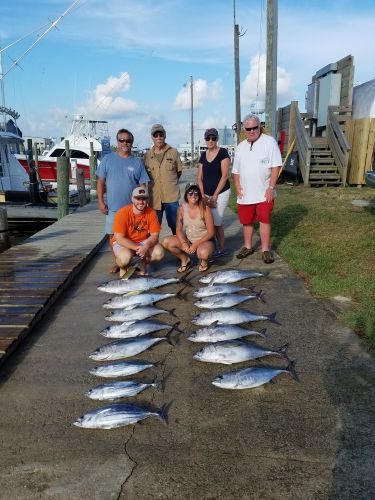 Wanchese Marina, Great Fishing this Week