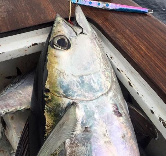 TW’s Bait & Tackle, Daily Fishing Report