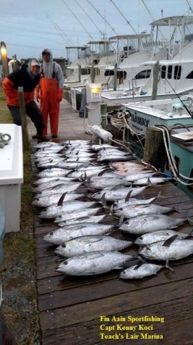 TW’s Bait & Tackle, TW's Daily Fishing Report. 1/29/16