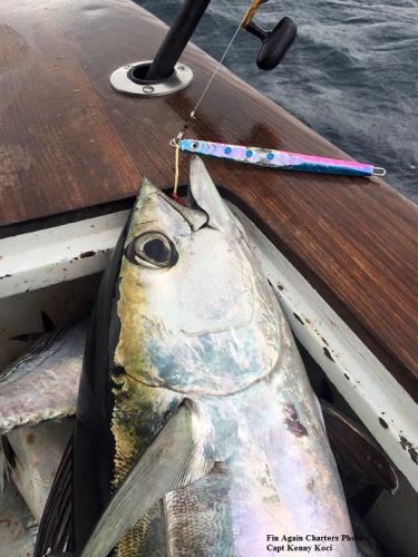 TW’s Bait & Tackle, Daily Fishing Report