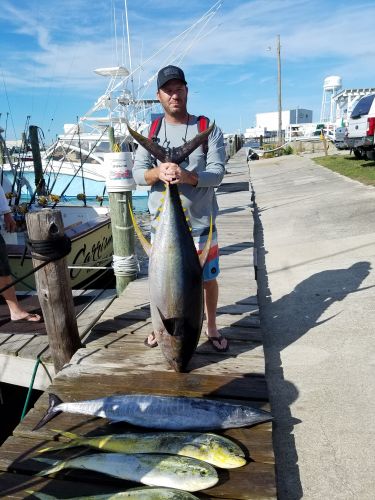 Fishin' Fannatic, Yellowfin Tuna  - 115 lb