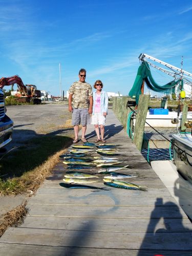 Fishin' Fannatic, Great Day of Mahi Fishing on the Outer Banks