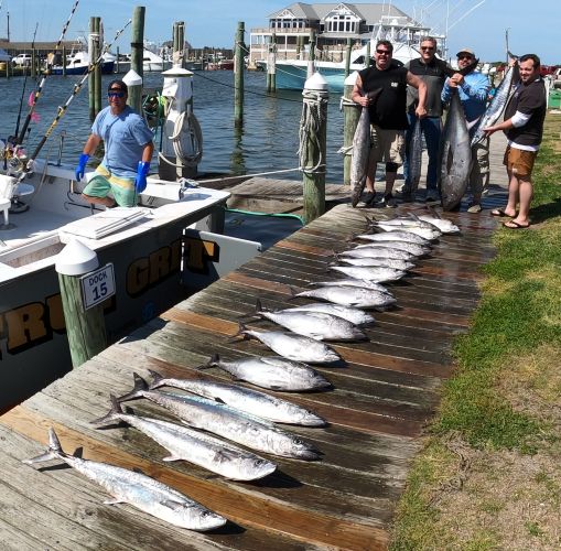True Grit Sportfishing, Starting to Pick Up