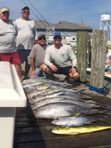 Wanchese Marina, Cobia Time
