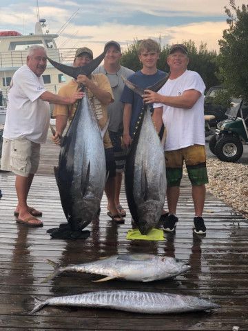 Pirate's Cove Marina, The Fish are a Brewin...