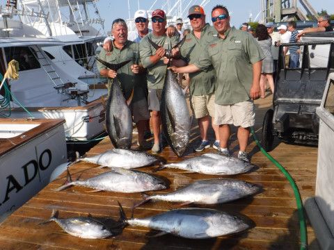 Pirate's Cove Marina, Gotta Love those Tuna and Mahi..