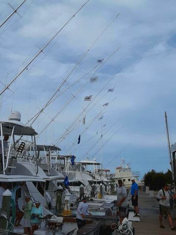 Pirate's Cove Marina, Labor Day Fishing...