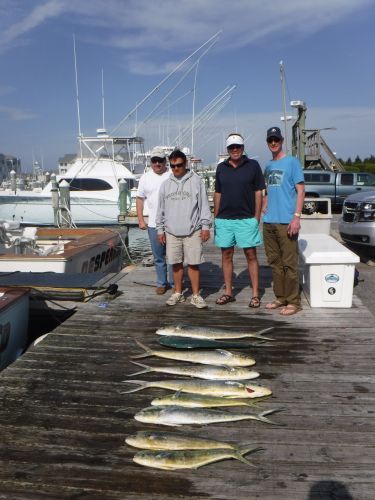 Pirate's Cove Marina, Gaffers!