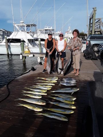 Pirate's Cove Marina, The Fish before Humberto...