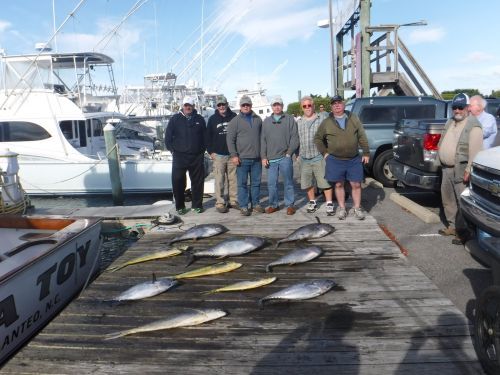 Pirate's Cove Marina, Yellowfin, Blackfin and Mahi