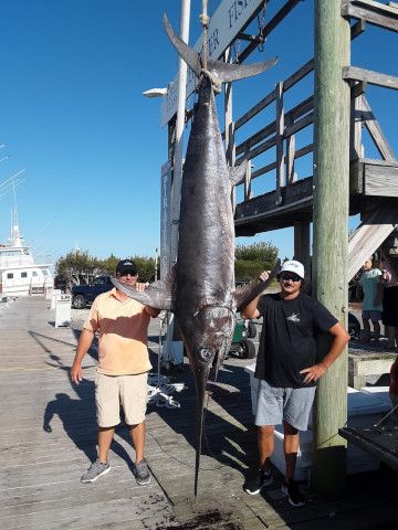 Pirate's Cove Marina, What a Swordfish...