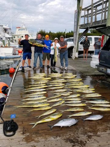 Pirate's Cove Marina, Fish On...