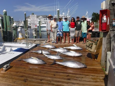 Pirate's Cove Marina, Tunas and White Marlin!