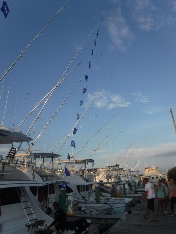 Pirate's Cove Marina, INCREDIBLE DAY!