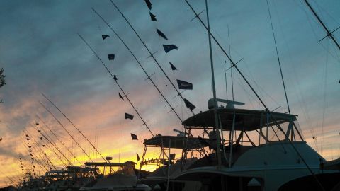 Pirate's Cove Marina, Flags and Meatfish!