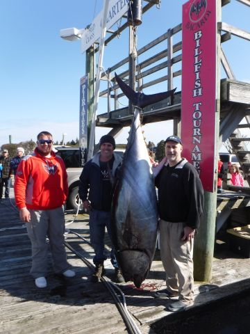 Pirate's Cove Marina, Bluefin Tuna!