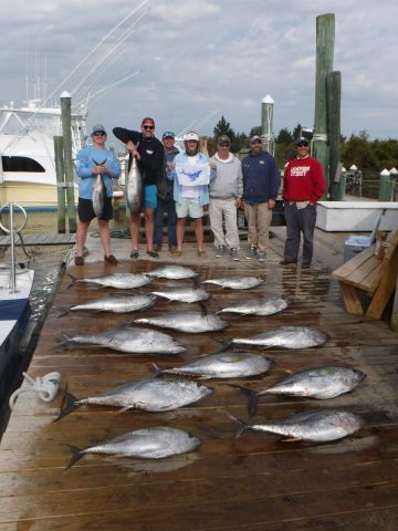 Pirate's Cove Marina, Yellowfin Fever