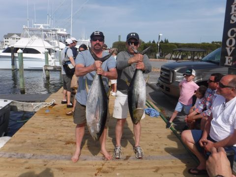 Pirate's Cove Marina, Yellowfin and Bluefin Release