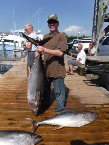 Pirate's Cove Marina, Tuna Haul!