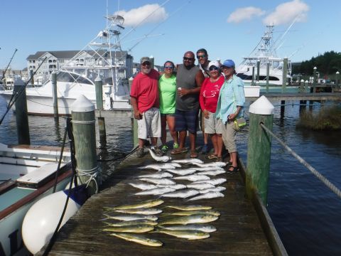 Pirate's Cove Marina, All kinds of fish!