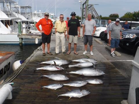 Pirate's Cove Marina, Tunas and Mackerel