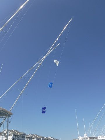 Pirate's Cove Marina, Long Runs, Summersaults and Tail Walking