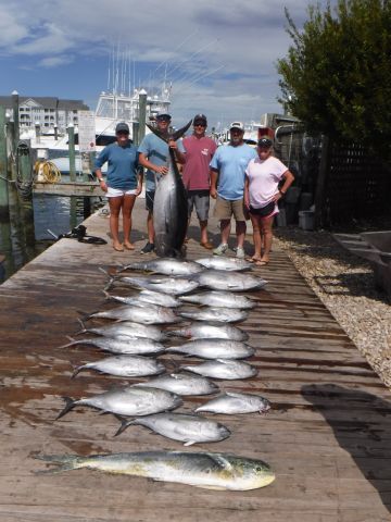 Pirate's Cove Marina, Great Tuna Fishing!