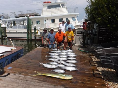 Pirate's Cove Marina, Tunas in AUSUST?!?