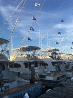 Pirate's Cove Marina, Flags