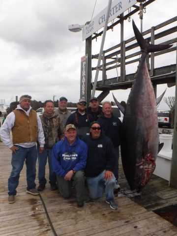 Pirate's Cove Marina, Have you booked your Bluefin Charter Yet?