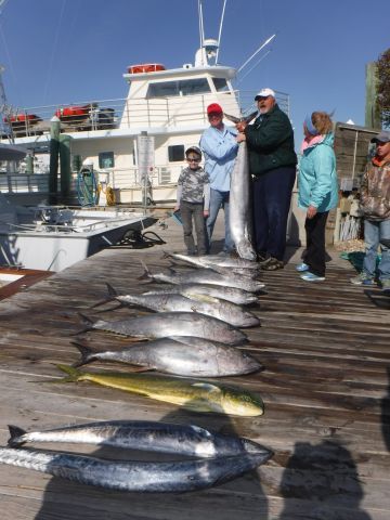 Pirate's Cove Marina, Yellowfin, Blackfin and some Wahoo too!!