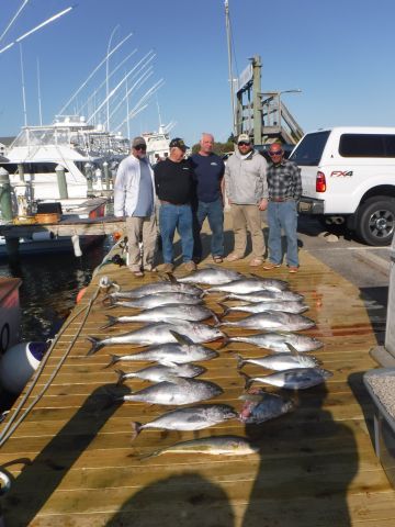 Pirate's Cove Marina, Yellowfin..Blackfin..and Gaffer Dolphin
