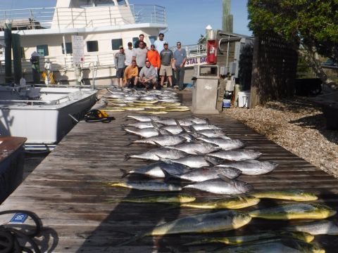 Pirate's Cove Marina, Another Great Fishing Day!