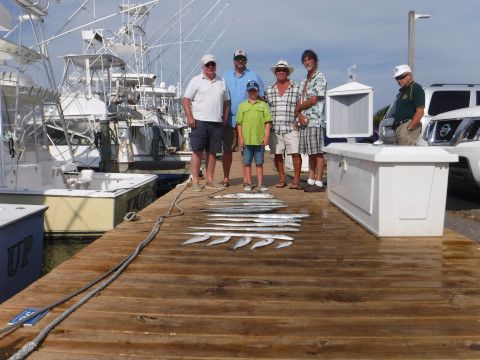 Pirate's Cove Marina, The fish of the day...BLUEFISH!