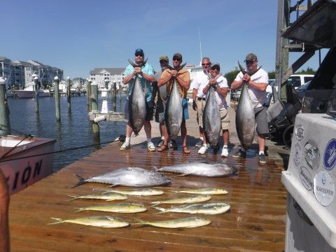 Pirate's Cove Marina, Great Offshore and Nearshore Fishing Continues!!