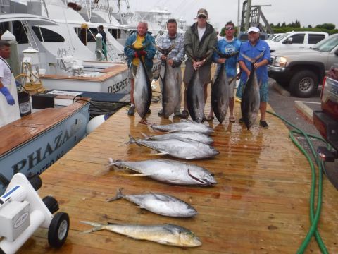 Pirate's Cove Marina, BigEye Yellowfin and Cobia