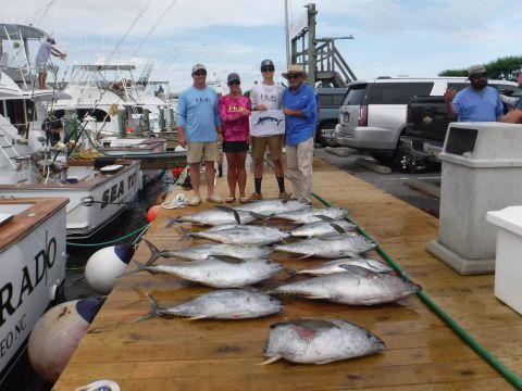 Pirate's Cove Marina, Lots of meat fish and Blue Marlin Release....