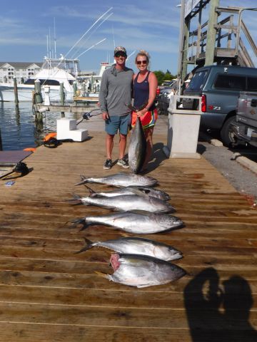 Pirate's Cove Marina, Those Sharks though!!!