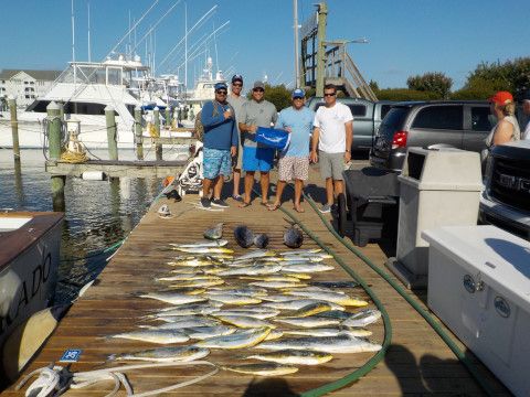 Pirate's Cove Marina, Fishing is back in Action Baby.!.!