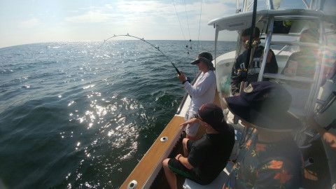 Pirate's Cove Marina, In Shore,Near Shore and Offshore Fishing-Take Your Pick!