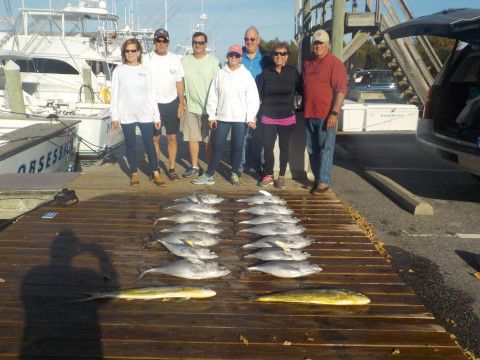 Pirate's Cove Marina, Hallelujah for Tuna…