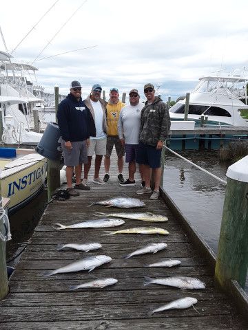 Pirate's Cove Marina, What the Fish...