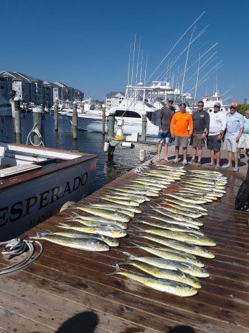 Pirate's Cove Marina, What A Fin-ominal Day...