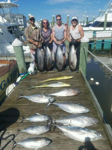 Pirate's Cove Marina, Got Fish.?.?