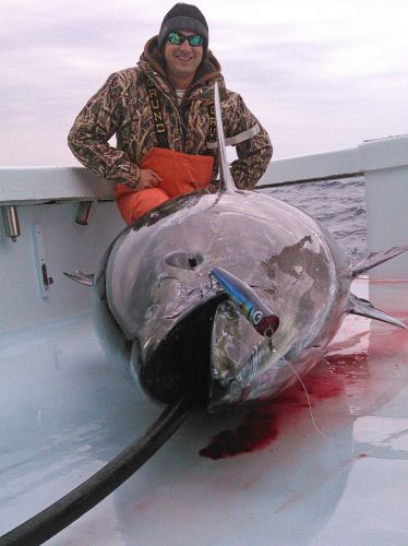 Tuna Duck Sportfishing, Giant Bluefin Bite